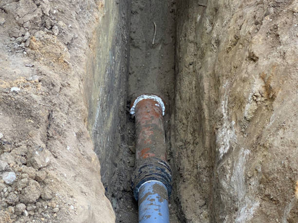 Best 24/7 water damage repair  in Roseville, MI