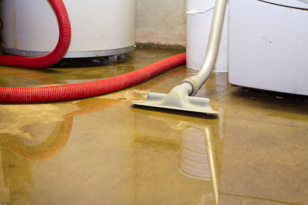 Best Water damage contractors near me  in Roseville, MI